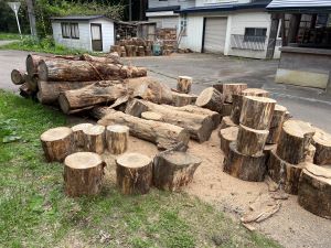 今年初めて挑戦した原木の輪切り