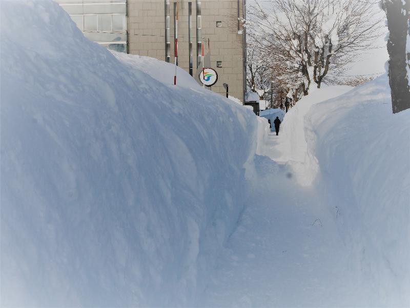 2021年1月の横手市役所前のようす。身長よりも高い雪の壁がそこかしこに出現します。