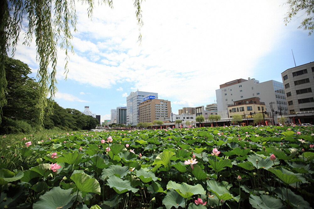 秋田市千秋公園