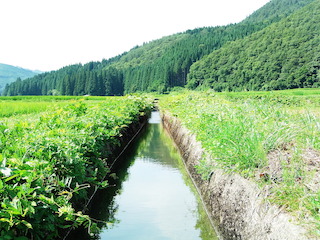 夏の風景