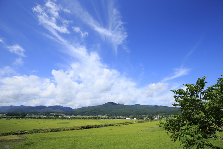 八幡平に広がる田園風景