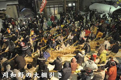 刈和野の大綱引き