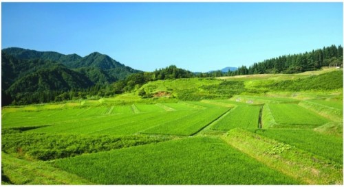 戸鳥内地区にひろがる「棚田」の風景